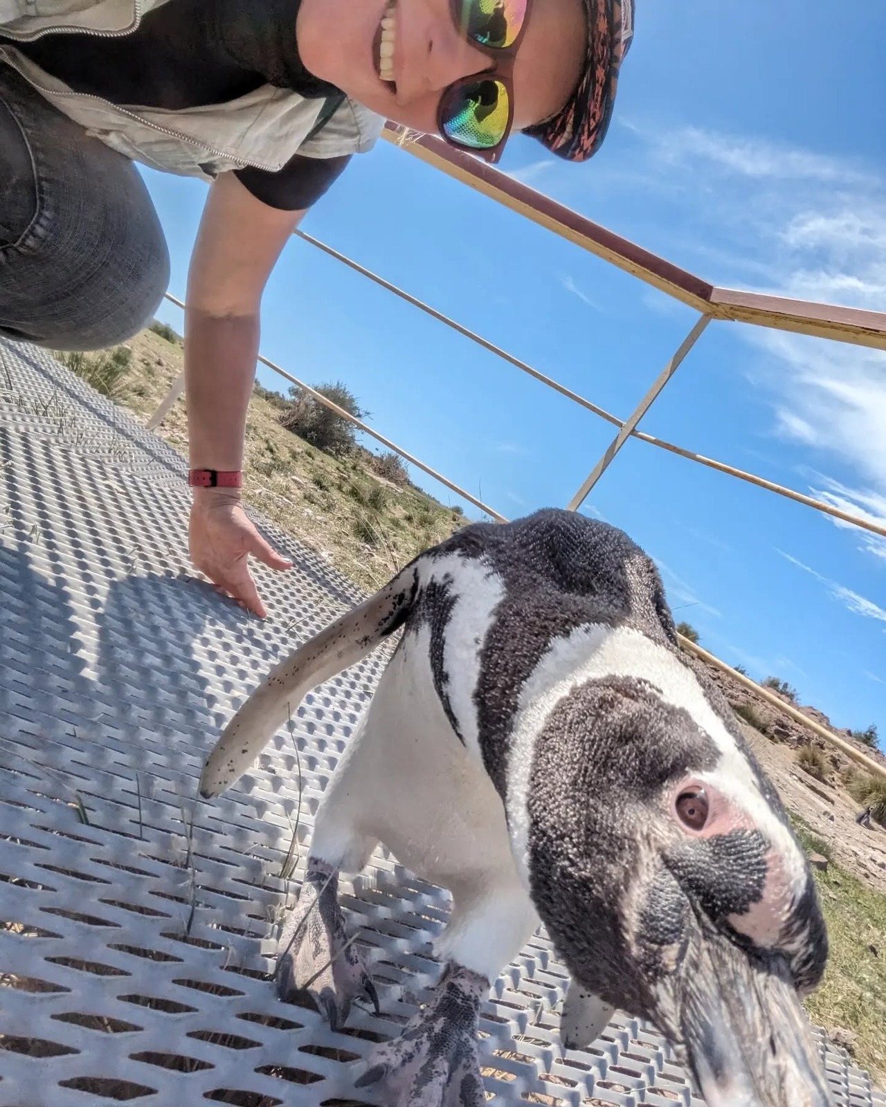 Jay on the colony boardwalk, smiling in a selfie with a Magellanic penguin